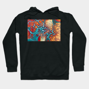 Fire & Ice Hoodie